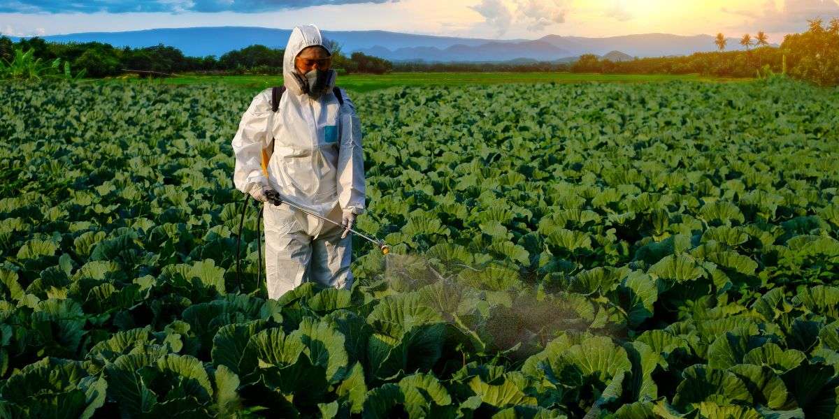 Why Buy Chemical Respirators