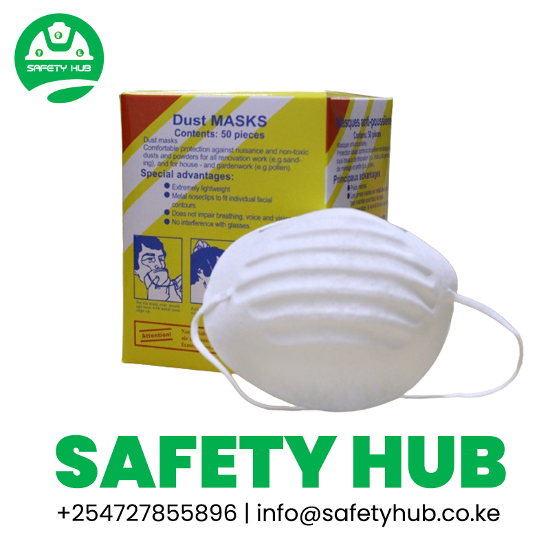 Taiwan DIsposable Dust Masks