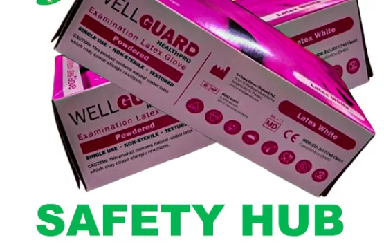 WellGuard Powdered Examination Latex Gloves