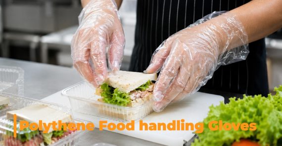Polythene Food-Handling Gloves